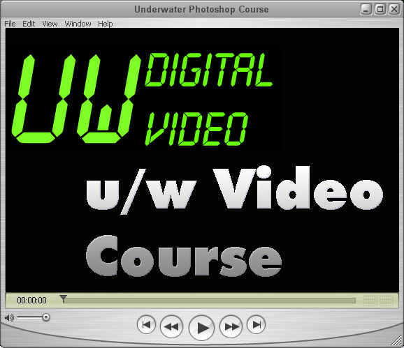 click to run a sample video tutorial about shooting u/w video with models