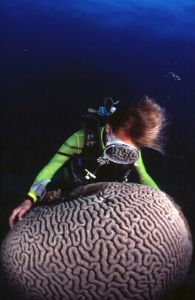 Nikon N100, 16mm fisheye, Reunion island by Laurent BECHE 