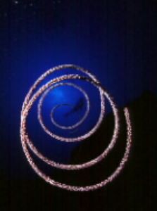 N801s , 16mm fisheye, ikelite 300, Reunion island by Laurent BECHE 