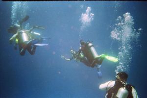 Red Sea, swimming between two reefs, 800m straight down u... by rob cannon 
