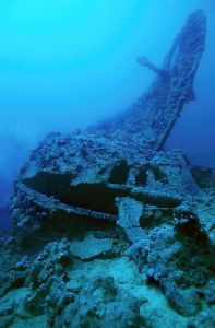 Dunraven, Red Sea. Nikon F90X  17mm Natural Light by Robin Orrow 