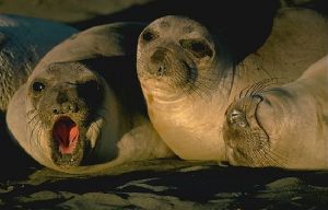 Don't worry, be happy... by george perina 