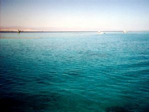 Tiran Reefs, Sharm el Sheikh by Riccardo Colaiori 