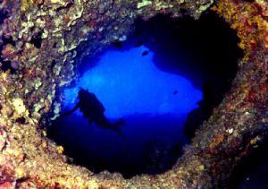 This was taken at 130 ft. below Ilagaun Bay, Rota Island,... by Ronnie Hodges 
