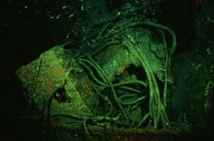 Engine room skipjack 2 , kuredu Maldives by Dave Baxter 