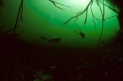 Carwash Cenote, Mexico. Taken with F90x and 16mm fisheye ... by David Stephens 