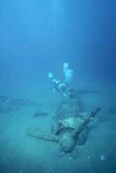 Zeke; Simpson Harbor, Rabaul, East New Britain, Papua New... by Rick Tegeler 