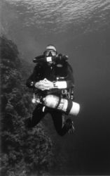 Back from the deep / Deco stop on Jackson Red Sea taken w... by Scott Bentley 