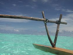 Oops, sent a mini-file that last time.  Outrigger on a tr... by Dianne Nottke 
