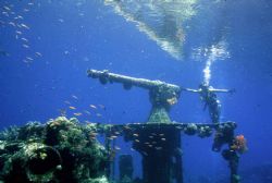 The Gunboat Wreck, Truk Lagoon; Housed Nikon F, 24mm Nikk... by Rick Tegeler 