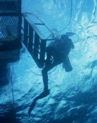 Last Dive - Great Barrier Reef by Matthew Hull 