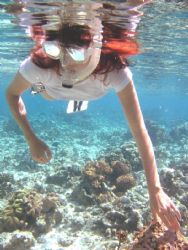 Ganga Island, Sulawesi. Taken on a canon ixus digital. by Huw Jenkins 
