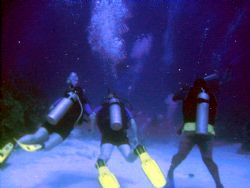 West Caicos Wall Dive by Gregg Schweitzer 