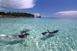 crystal clear!, Nassau, Bahamas. by Leon Joubert 