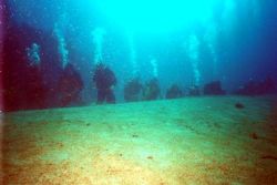 Shark watchers. Sea&Sea Mitom. II. 20mm lens by George Tobolewski 