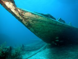 Haitian Wreck, Nassau, Bahamas.  Nikon CP500 with Wide an... by Sally Thomson 