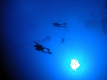 140ft down looking up the diver's spaced out really shows... by Jeffrey Cowie 