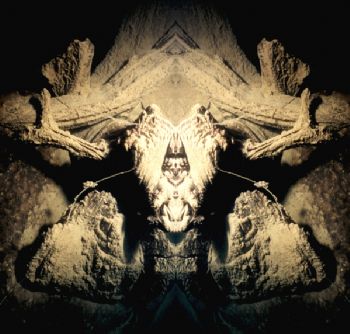Tronc d'arbre dans un lac de montagne avec un effet miroi... by Philippe Brunner 