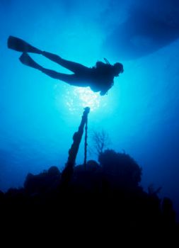 'Wreck on the wall'...Bahamas  by Claudia  Pellarini 