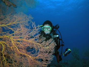 Tioman Islands, Malaysia. Taken at about 10am with Nikon ... by Richard Ng 