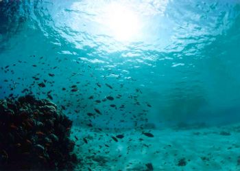 Paysage / Maldives by Philippe Brunner 