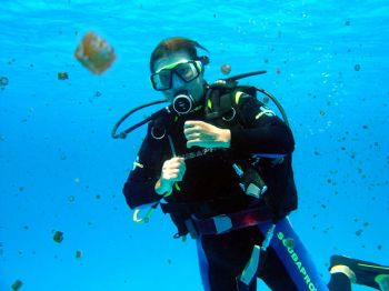 Cozumel, April 04 / Diving with aguamalas (Gellyfishes) /... by Yannick Abel-Coindoz 