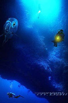 palau - blue hole - Nikonos V - 20 mm - subtronic strobe by Manfred Bail 