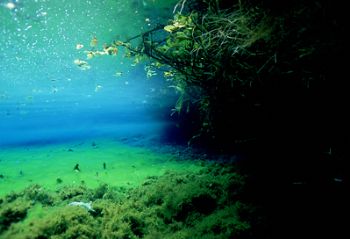Feshwater Spring , South Africa. F100 & 17 -35mm. by Greg Grant 