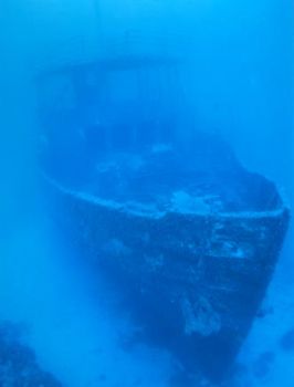 THE IMPERIAL EAGLE CAN BE FOUND OFF MALTA  LYING IN 42m (... by Kevin Hunkin 