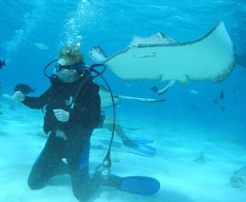 Alien Encounter at Stingray City, Grand Cayman.  Taken wi... by Tim Harris 