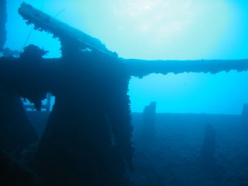 Anti-aircraft gun on Thistlegorm, Red Sea by Thijs Friederich 