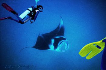 fiji - manta - COMPOSING - diver/fin - nik RS - strobe - ... by Manfred Bail 
