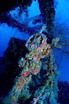Truk Lagoon - Aikoku Maru, Stern Helm 2 by Eric Bancroft 