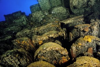 Don't touch !  A close-up look at WW II Japanese beach mi... by Eric Bancroft 