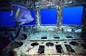 red sea eilat- the wreck Sofa nikonos with 15 mm lens. by shmulik blum 