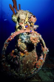 Rudderstand of the Hokuyu Maru in Truk Lagoon.  The large... by Eric Bancroft 