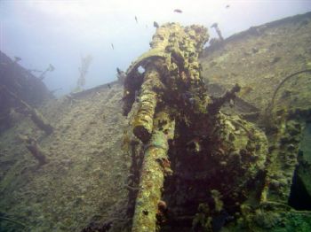 Gun on Thistlegorm  by M Evason 