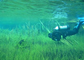 This photo was taken in the Crystal Clear Waters of Ewan ... by Daryl Gabriel 