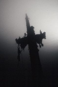 Frankenvald (Norway) Mast with rigging. Canon Eos 5 + 24mm. by James Garland 