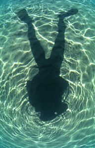 red sea- eilat aqatica 90 16mm lens . by Shmulik Blum 