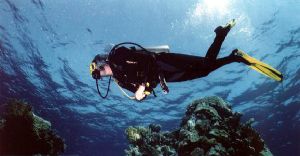 Sharm El Sheik, Egypt - Nikonos V , 20mm by Mark Lloyd 