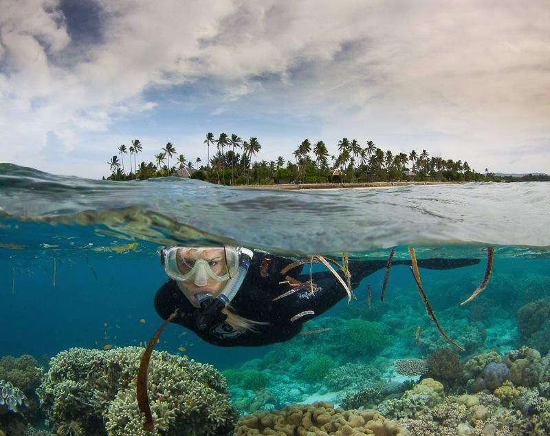 Composite by Steven Miller 
