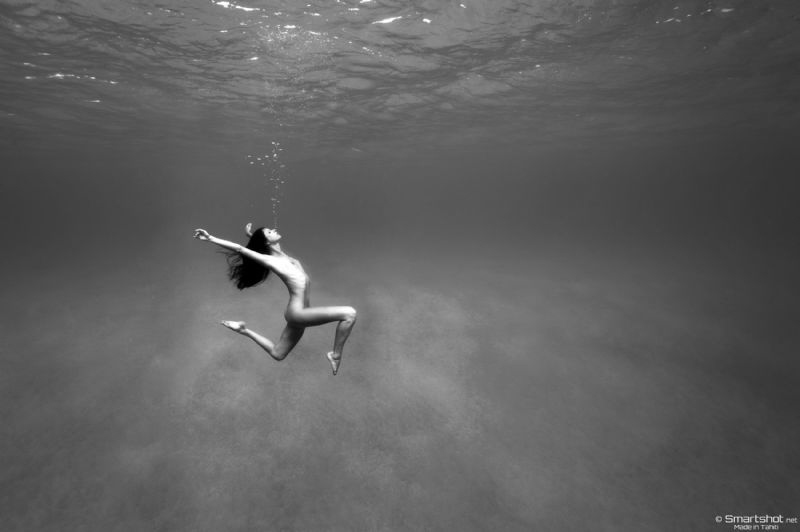Freedom by Christian Coulombe 