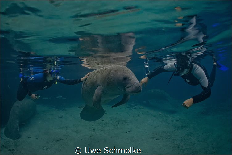 Attention needed by Uwe Schmolke 