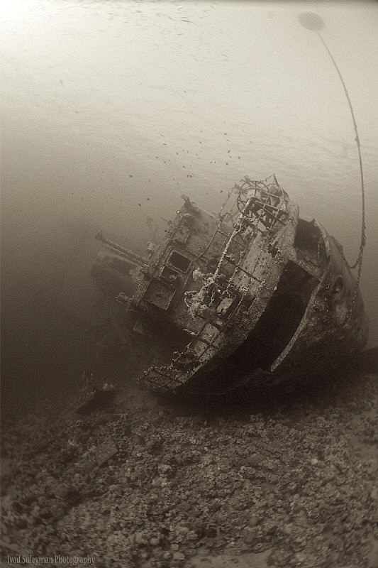"Oblivion"
Cedar Pride Wreck by Iyad Suleyman 