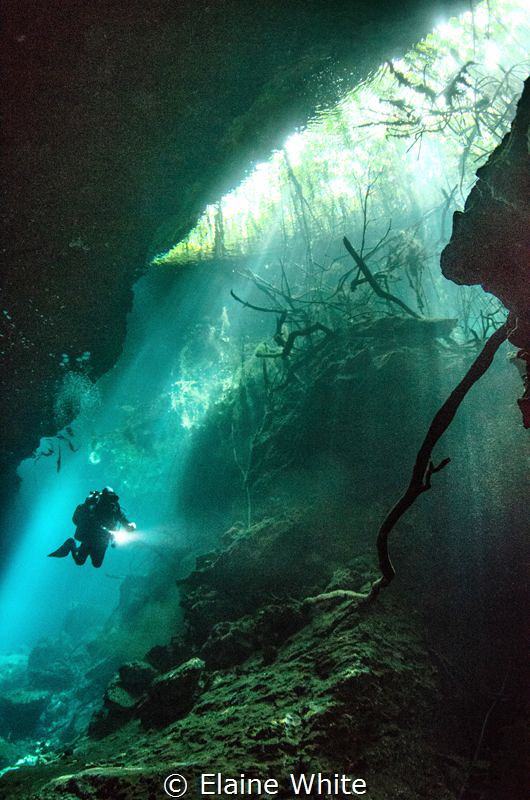 Ponderosa, one of Mexico's Cenotes by Elaine White 