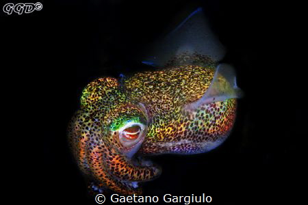 To enhance the glowing I used a UV illumination system th... by Gaetano Gargiulo 