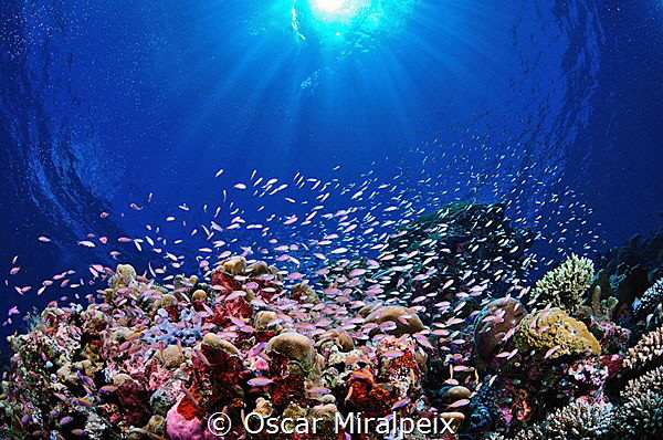 .... Maldives by Oscar Miralpeix 