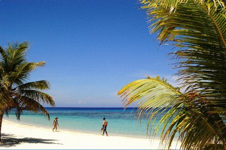 Roatan, Honduras. by Shawn Jackson 
