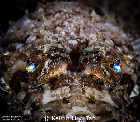 Shot this with a DSLR during my Havelock island trip duri... by Kelvin H.y. Tan 